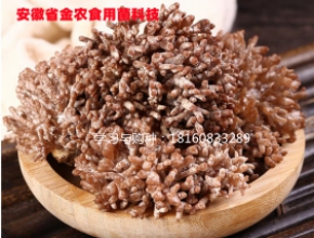 龍爪菇